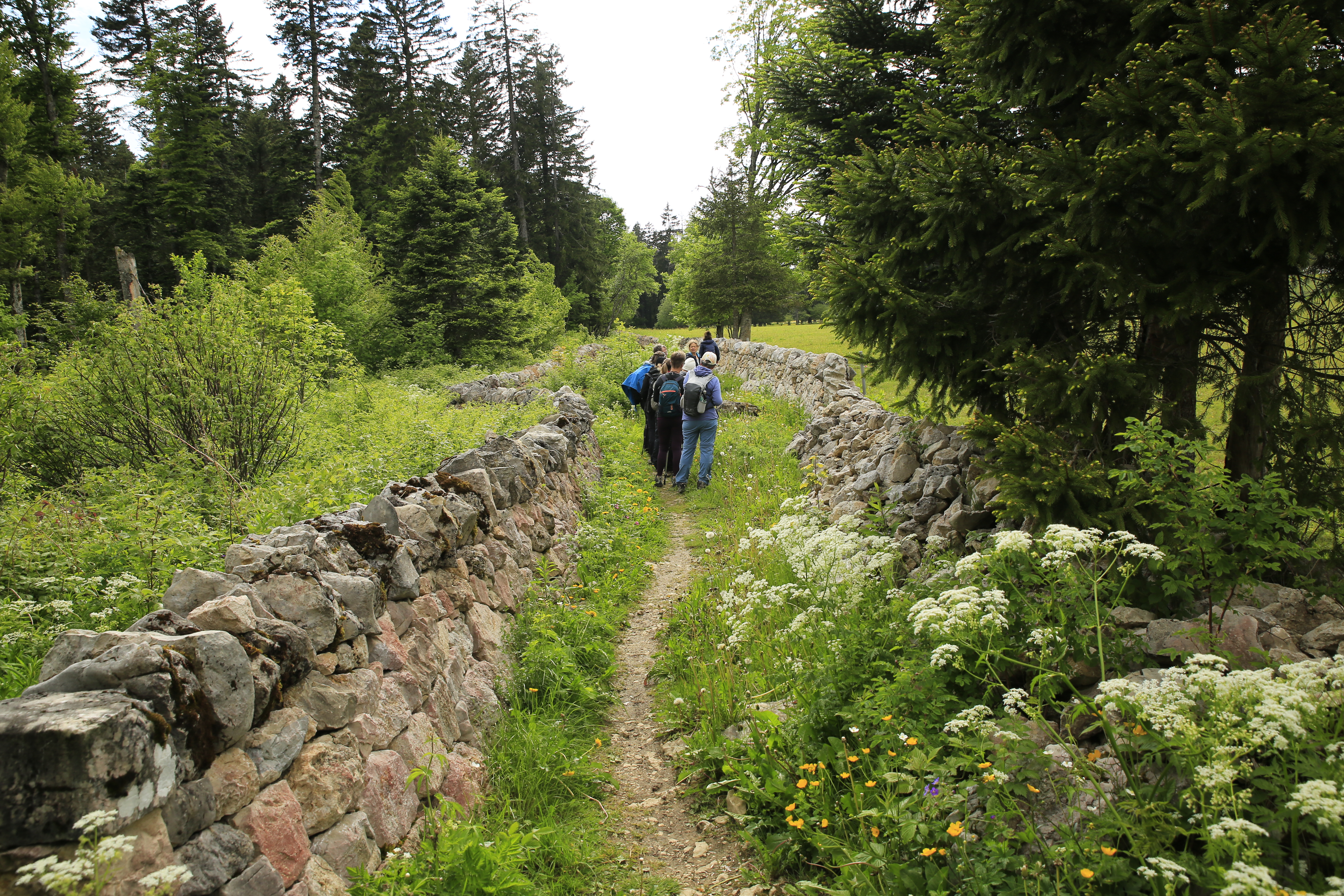 Randonnée à la découverte des murs de pierres sèches
