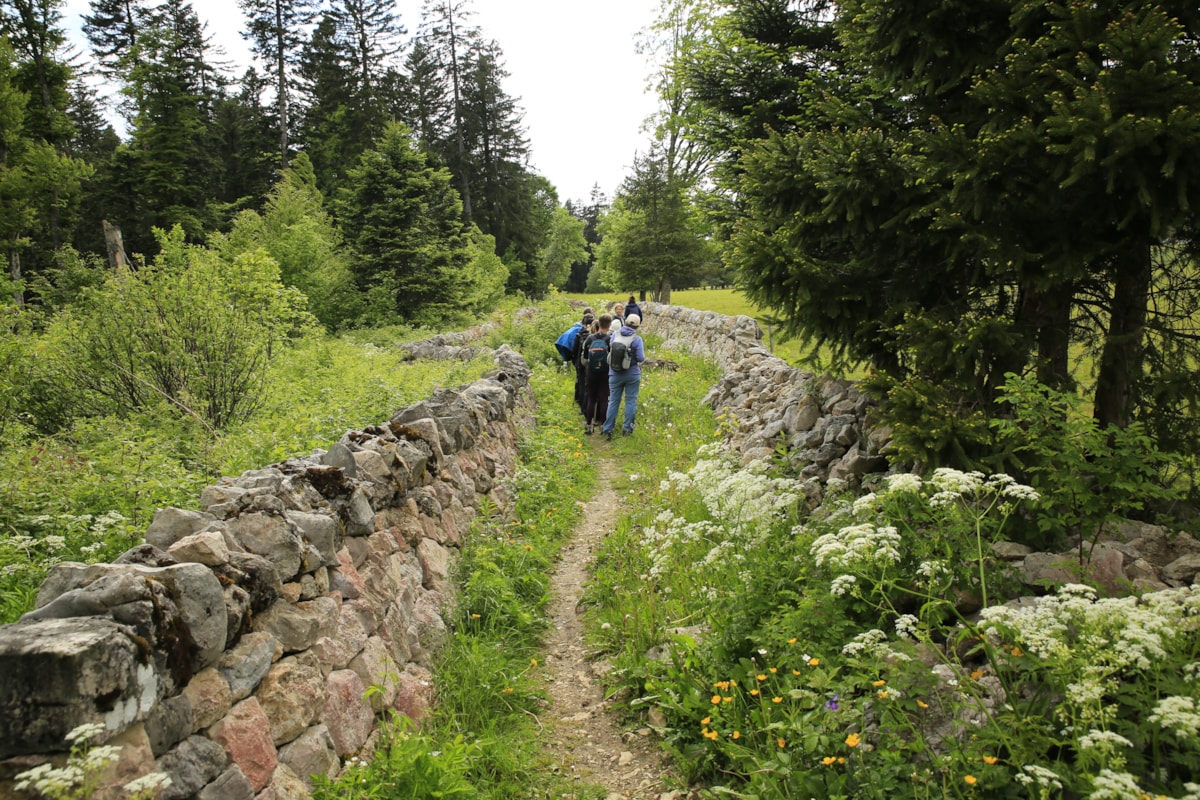 Randonnée à la découverte des murs de pierres sèches