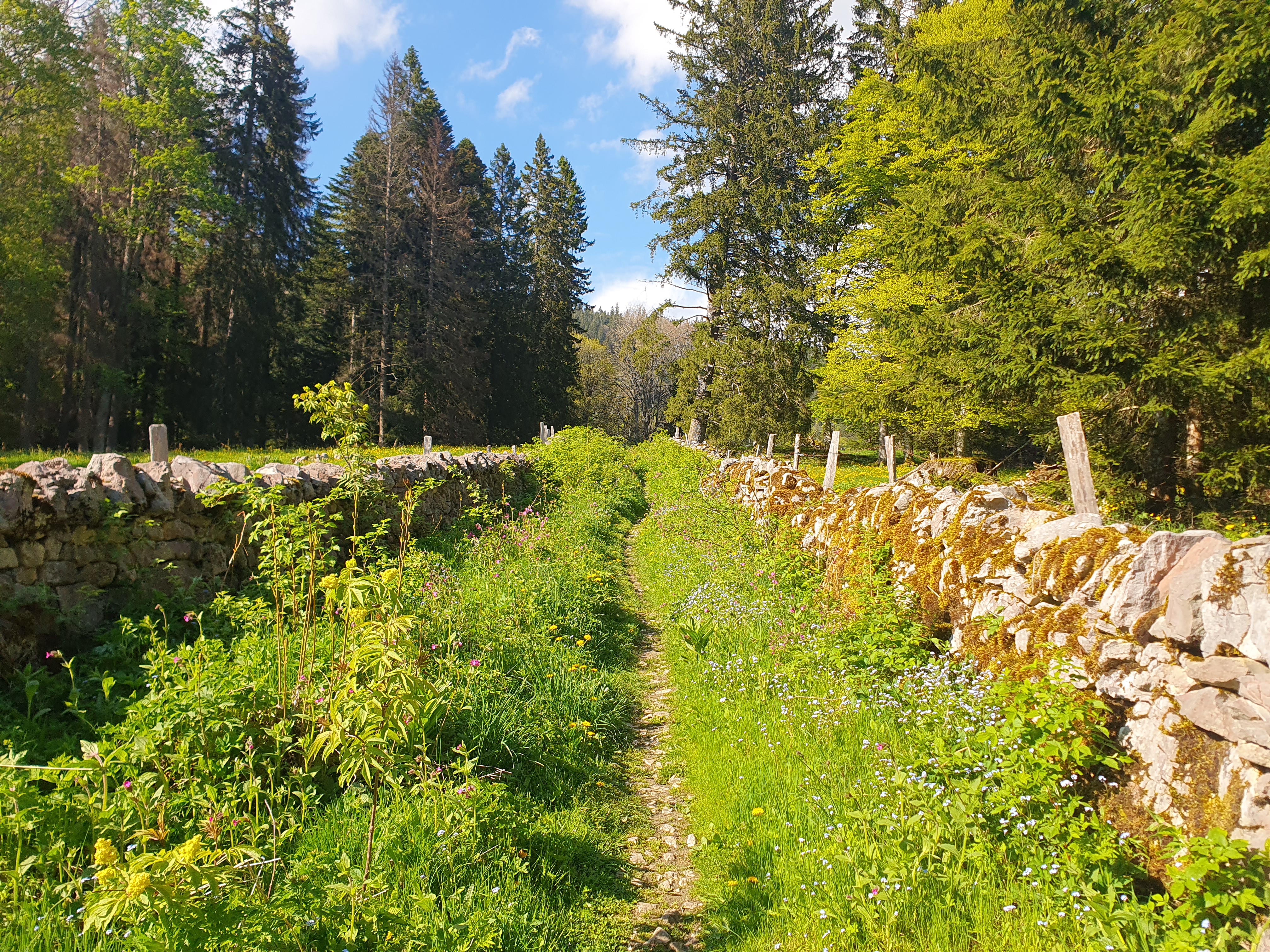 Randonnée à la découverte des murs de pierres sèches